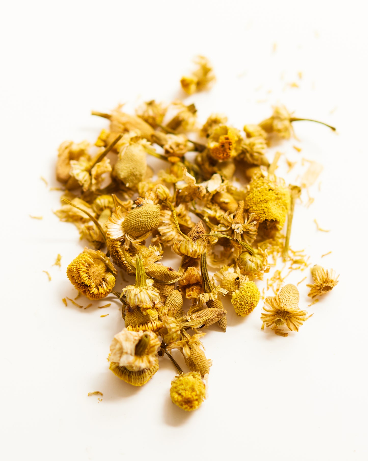 Carme Chamomile